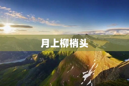 月上柳梢头：一首诗意的描绘