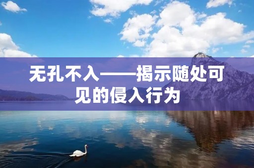 无孔不入——揭示随处可见的侵入行为