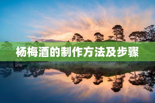 杨梅酒的制作方法及步骤