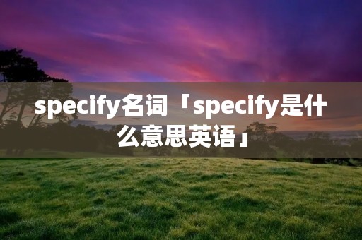 specify名词「specify是什么意思英语」