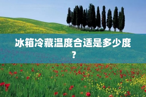 冰箱冷藏温度合适是多少度? 冰箱冷藏温度合适是多少度?