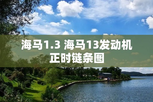海马1.3 海马13发动机正时链条图