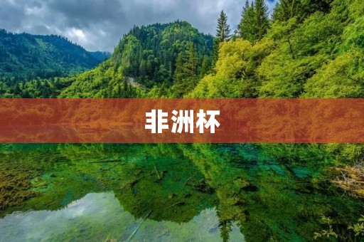 非洲杯：每两年一度的非洲足球盛宴