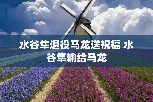 水谷隼退役马龙送祝福 水谷隼输给马龙