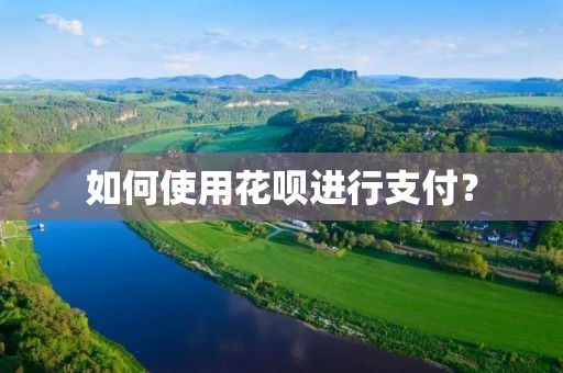 如何使用花呗进行支付?