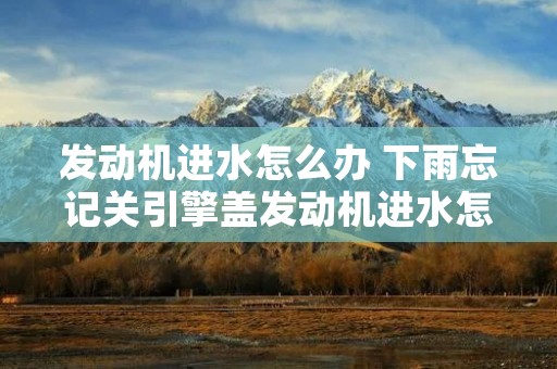 发动机进水怎么办 下雨忘记关引擎盖发动机进水怎么办 发动机进水怎么办 下雨忘记关引擎盖发动机进水怎么办