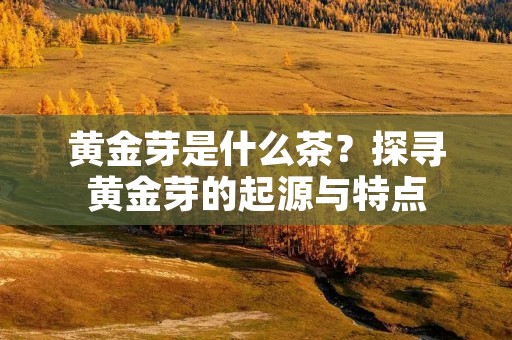 黄金芽是什么茶?探寻黄金芽的起源与特点