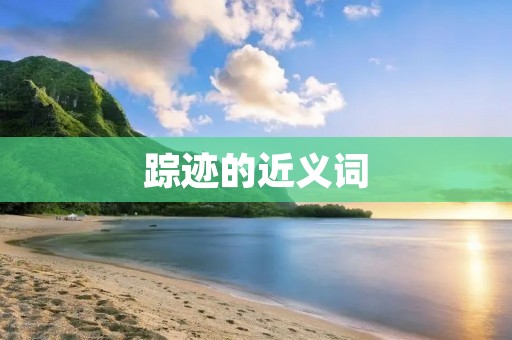 踪迹的近义词:足迹、痕迹、迹象、蛛丝马迹、线索、痕迹、印记、遗迹、踪影、追踪。