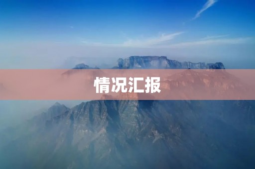 情况汇报：企业员工工作情况及问题分析