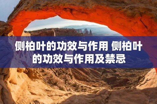 侧柏叶的功效与作用 侧柏叶的功效与作用及禁忌