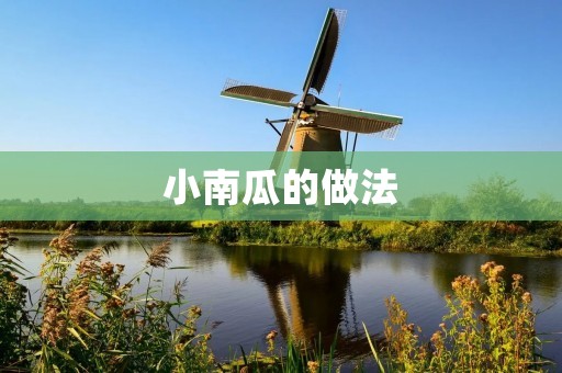 小南瓜的做法:营养丰富的秋季美味