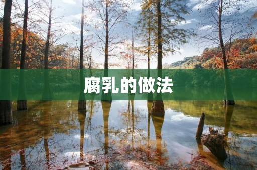 腐乳的做法:传统制作与现代创新 腐乳的做法:传统制作与现代创新