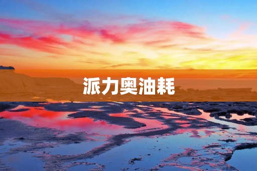 派力奥油耗：解析高性能与低油耗的平衡之道