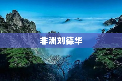 非洲刘德华：跨越文化边界的音乐传奇