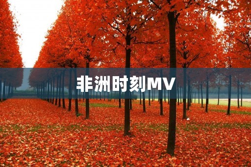 非洲时刻MV：探索非洲大陆的音乐之旅