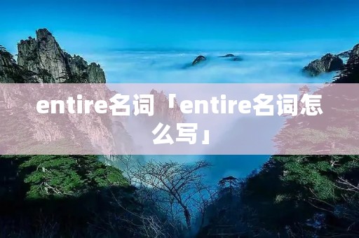 entire名词「entire名词怎么写」