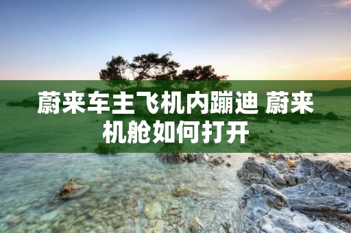 蔚来车主飞机内蹦迪 蔚来机舱如何打开 蔚来车主飞机内蹦迪 蔚来机舱如何打开