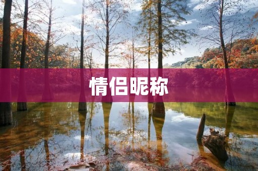情侣昵称：用爱之名，打造独一无二的称呼