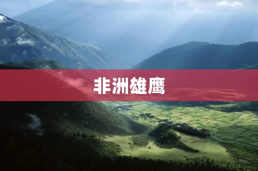 非洲雄鹰:大陆上的自由翱翔者 非洲雄鹰:大陆上的自由翱翔者