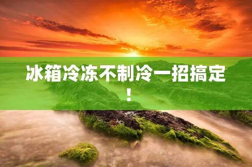 冰箱冷冻不制冷一招搞定! 冰箱冷冻不制冷一招搞定!
