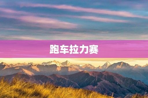 跑车拉力赛:极速与**的交融 跑车拉力赛:极速与**的交融