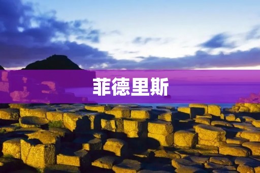菲德里斯：开创现代地质学的先驱