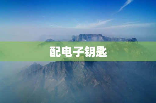 配电子钥匙：为现代生活带来便利与安全