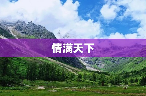 情满天下:爱的力量与情感的融合