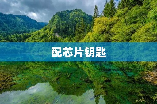 配芯片钥匙:开启智能时代的便利之门 配芯片钥匙:开启智能时代的便利之门