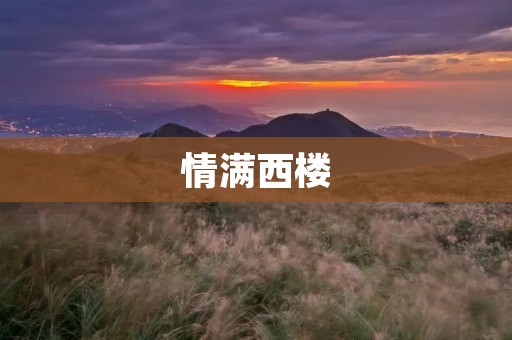 情满西楼:一段跨越时光的爱情故事