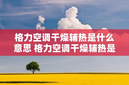 格力空调干燥辅热是什么意思 格力空调干燥辅热是什么意思啊