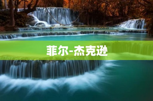 菲尔-杰克逊:音乐传奇的生命之旅 菲尔-杰克逊:音乐传奇的生命之旅