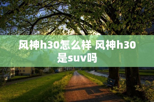 风神h30怎么样 风神h30是suv吗