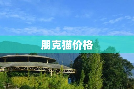 朋克猫价格:探索与独特之美 朋克猫价格:探索与独特之美