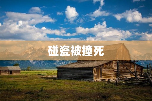 碰瓷被撞死:一起悲剧的发生 碰瓷被撞死:一起悲剧的发生