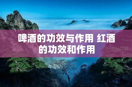 啤酒的功效与作用 红酒的功效和作用