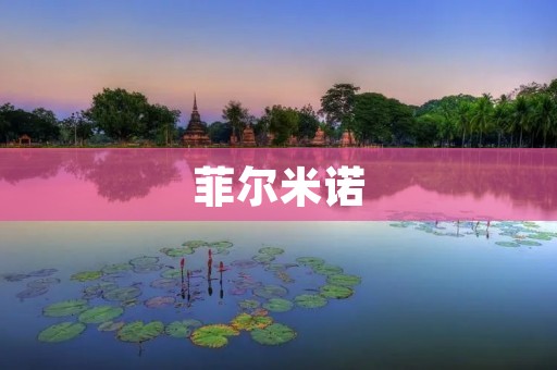 菲尔米诺:利物浦红军的巴西射手 菲尔米诺:利物浦红军的巴西射手