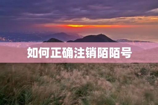 如何正确注销陌陌号