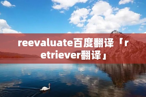 reevaluate百度翻译「retriever翻译」