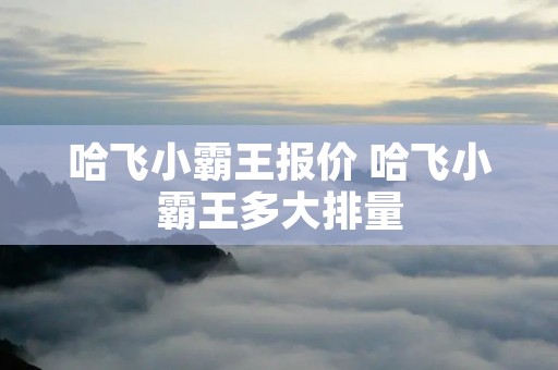 哈飞小霸王报价 哈飞小霸王多大排量