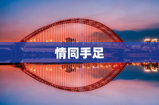情同手足:探索真挚友谊的力量