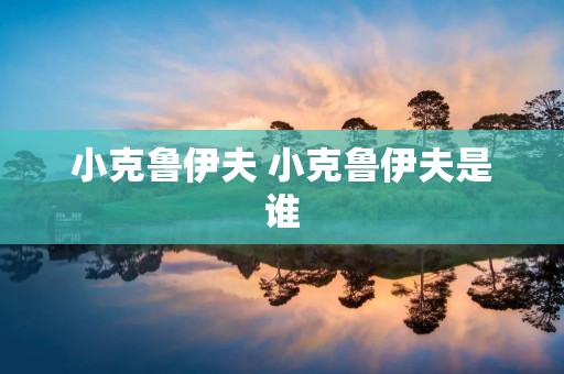 小克鲁伊夫 小克鲁伊夫是谁