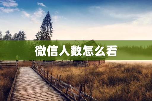 微信人数怎么看:详细解析微信用户数量的变化及影响
