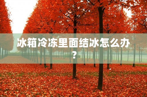 冰箱冷冻里面结冰怎么办？