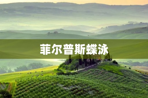 菲尔普斯蝶泳：传奇泳坛的巅峰之作
