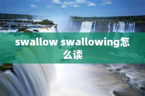 swallow swallowing怎么读