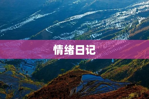 情绪日记:一场内心的风暴