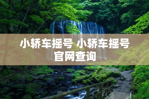 小轿车摇号 小轿车摇号官网查询