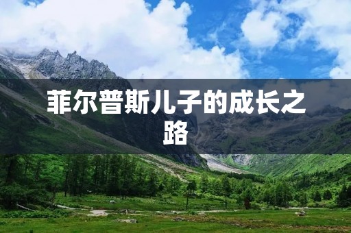 菲尔普斯儿子的成长之路 菲尔普斯儿子的成长之路