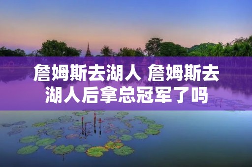 詹姆斯去湖人 詹姆斯去湖人后拿总冠军了吗